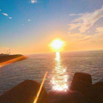 bob综合在线体育