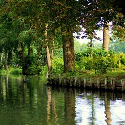 ag真人平台官方下载手机版