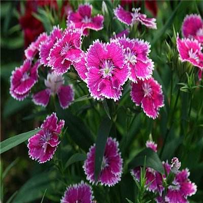 南宫体育app下载手机app下载