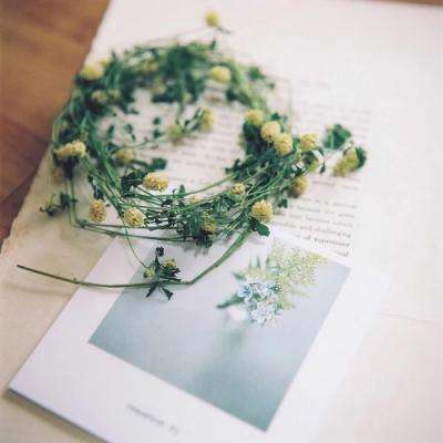 kok最新客户端手机app下载截图