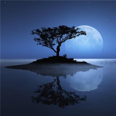 小罗代言米乐体育app手机app下载