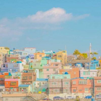 kok最新客户端手机app下载